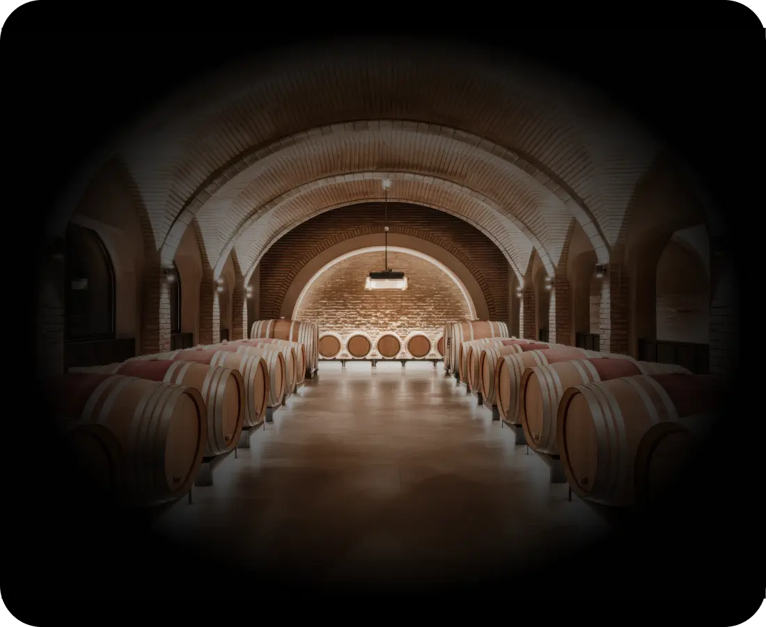 Wine cellar tradition